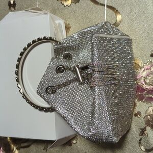 Shiny, Silver, Sparkly, Stylish Bag.